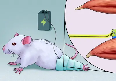 Illustration showing an experimental device called MAGENTA and how it works Illustration showing an experimental device called MAGENTA and how it works